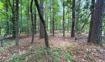 Dixon Ln SE, Bogue Chitto, MS 39629