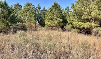 S Waller Rd, Bald Knob, AR 72010