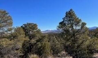 N8689 lot 002P, Concho, AZ 85924