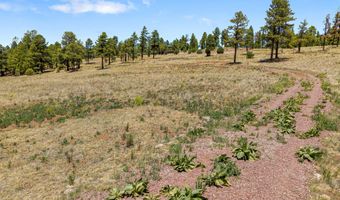 32 The Ranch At Alpine, Alpine, AZ 85920
