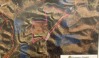 Bandy Rd / Whitaker Ridge Area, Bandy, VA 24602