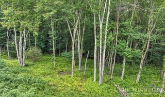 Featherwood Trail, Banner Elk, NC 28604