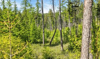 210 Trading Post Trl, Bigfork, MT 59911