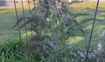 33085 E State Highway 14, Ava, MO 65608