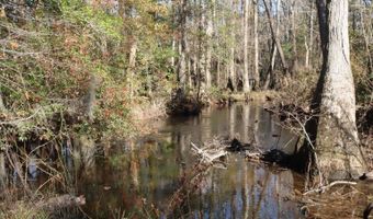 Highway 3, Blackville, SC 29817