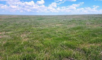 TBD County Road 162, Agate, CO 80101