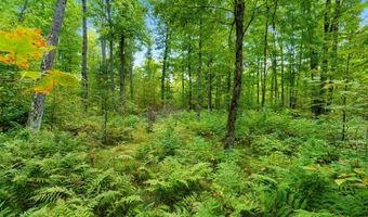 Double Bend Road, Argonne, WI 54511