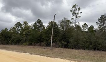 Russell Avenue, Alford, FL 32420
