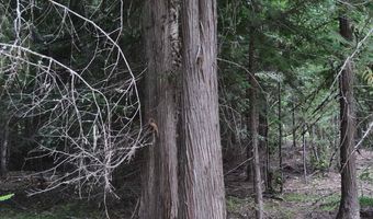 Nna 196 Acres Hwy 95, Bonners Ferry, ID 83805