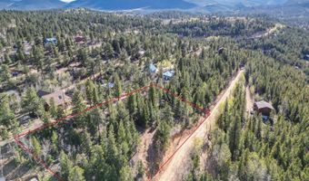 272 Wise Rd, Bailey, CO 80421
