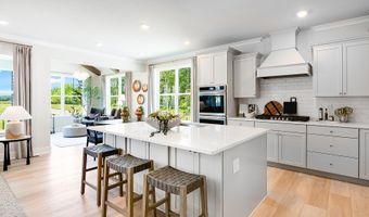 36530 Burleson Dr Plan: Savannah, Frankford, DE 19945