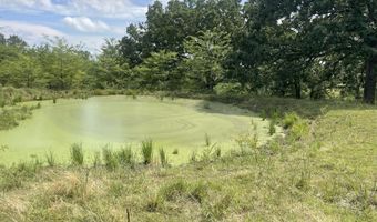 11138 State Highway O, Ava, MO 65608