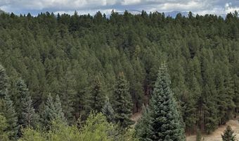 San Mateo Drive lot 1292, Angel Fire, NM 87710
