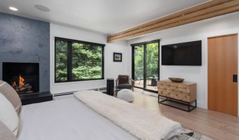 1235 Red Butte Dr, Aspen, CO 81611