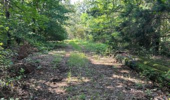 0 County Road 217, Blue Springs, MS 38828