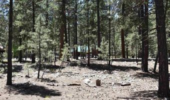 80 Ranch Rd, Bayfield, CO 81122