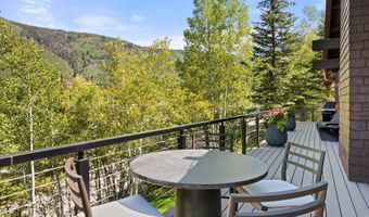 1271 Ute Ave, Aspen, CO 81611