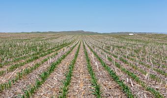 US Highway 385, Alliance, NE 69301