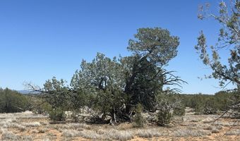 10 S2 Off Of Looking Glass, Ash Fork, AZ 86320