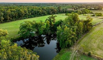 100 Acres Harmony Church Rd, Andalusia, AL 36421