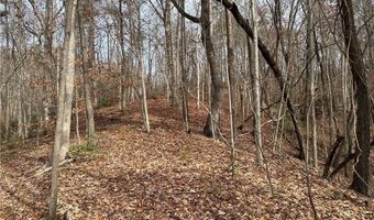 Hwy 105, Baldwin, GA 30511