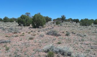 Tbd Rio Ranch, Concho, AZ 85924