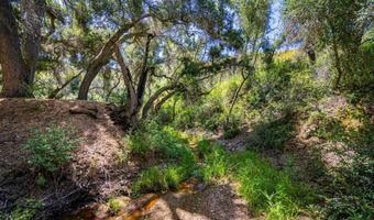 40 Tenaja Road Acres, Fallbrook, CA 92028