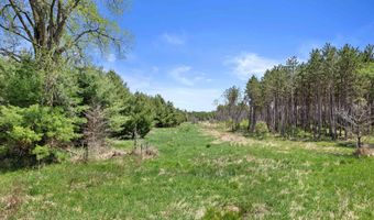 Chicago Avenue lot 2, Arkdale, WI 54613