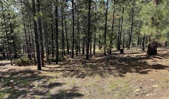 Upper Rd lot 18, Angel Fire, NM 87710