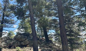 Lots 16 Lot17 Palo Flechado Ridge Road, Angel Fire, NM 87710