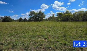 Austin Bottom Rd lot 3, Baxter, TN 38544