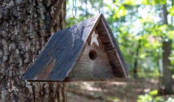 203 BRENDA Ln, Basye, VA 22810