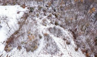 Parcel A Fawn Path, Allegan, MI 49010