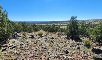 85 N 8522, Concho, AZ 85924