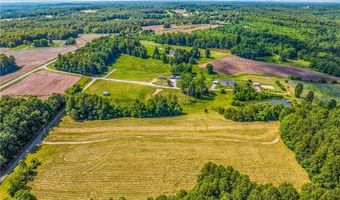 157 Buttercup Ln, Ararat, NC 27007