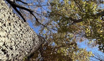 0 New Cut Rd, Alvaton, KY 42122