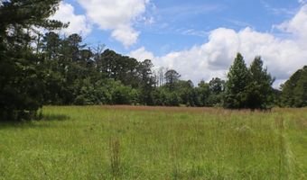 Vine Drive, Brandon, MS 39047