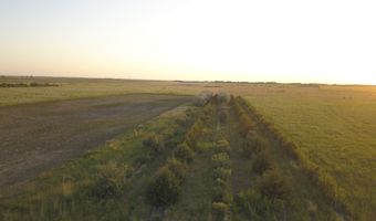 39494 165th St, Ashton, SD 57424