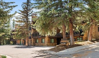 650 S Monarch St 7, Aspen, CO 81611