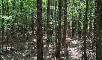 0 Highway 140 Tract E NW, Adairsville, GA 30103