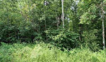 xxx Lane 51, Aurora, MN 55705