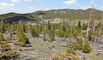 465 Gateway Dr, Breckenridge, CO 80424