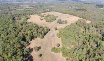 County Road 113, Alton, MO 65606