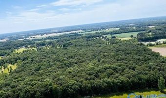 45 55 Acres Cook Rd, Ardmore, AL 35739