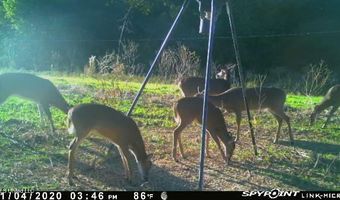 001 Farr Rd, Bolton, MS 39041