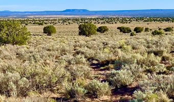 River Meadows Ranch Unit 3 Lot 204, Concho, AZ 85924