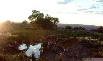 nhn Stagecoach Spur W lot 935-6, Belfry, MT 59008