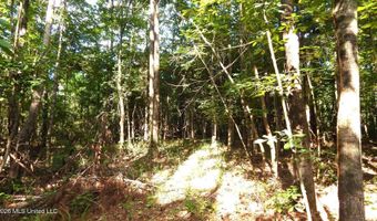330 County Road 245, Abbeville, MS 38601