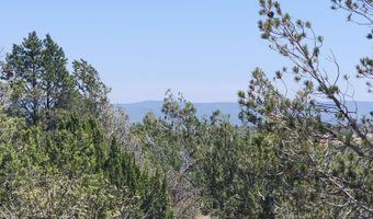 Lot 13 Ranch And Cattle, Ash Fork, AZ 86320