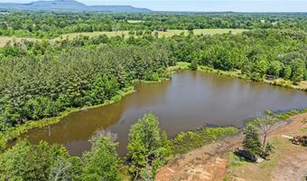 11905 E Old Bellville Rd, Belleville, AR 72824